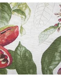 Earthly Delights Summer In Stock Fabrics